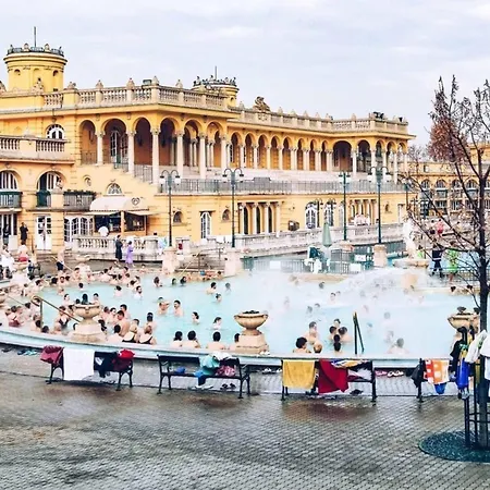 Spacious 4br Art Flat In Centre Next To Metro * Budapest